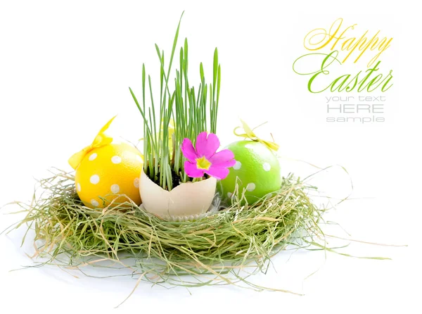 复活节蛋和绿色芽苗菜是在白色背景上鸟巢 — 图库照片