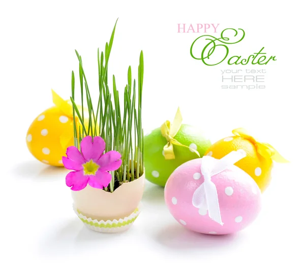 Uova di Pasqua e germogli verdi su sfondo bianco — Foto Stock
