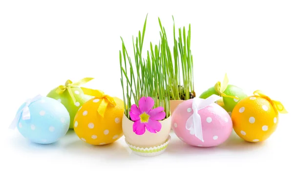 Uova di Pasqua e germogli verdi su sfondo bianco — Foto Stock