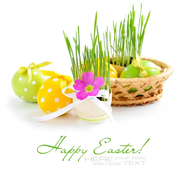 Composición de huevos de Pascua y brotes verdes en un huevo sobre un fondo blanco — Foto de Stock