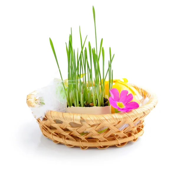 Beyaz zemin üzerinde bir sepet içinde Paskalya yumurtaları ve yeşil lahanası vardır — Stok fotoğraf