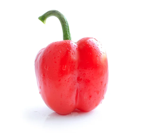 Rode peper geïsoleerd op witte achtergrond — Stockfoto