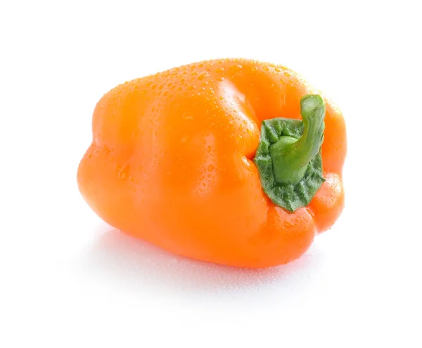 Оранжевый перец на белом фоне — стоковое фото