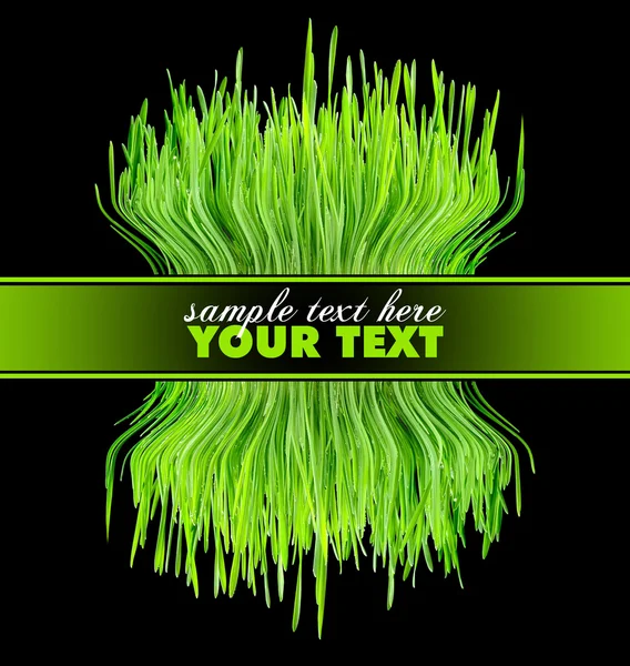 Abstract composition is from tuft of green grass on a black background — Stock Photo, Image