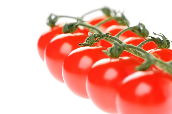 Zbliżenie pomidorów — Zdjęcie stockowe