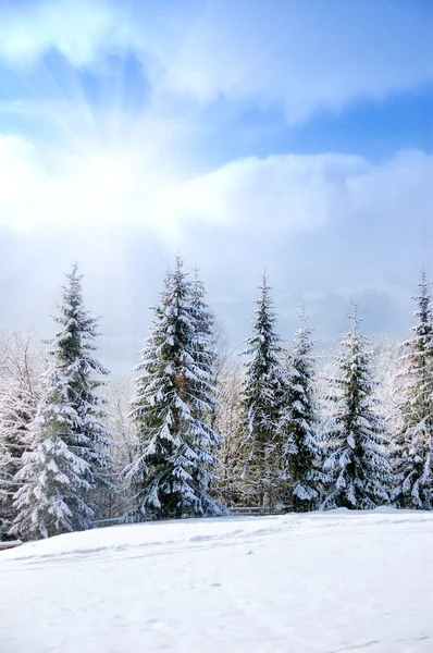 Peisaj frumos de iarnă — Fotografie, imagine de stoc