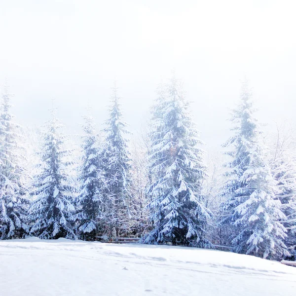 Peisaj frumos de iarnă — Fotografie, imagine de stoc