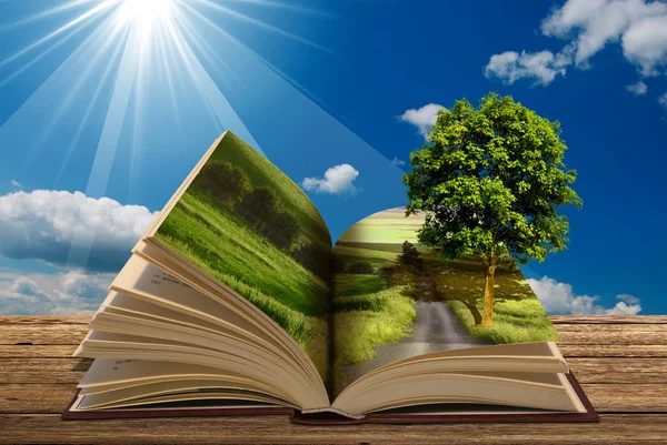 Book with tree — Stock Photo, Image