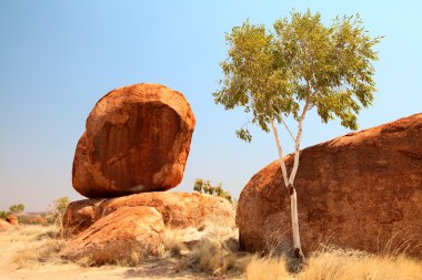 Devils marbles clipart