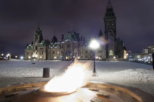 stock image Parliament