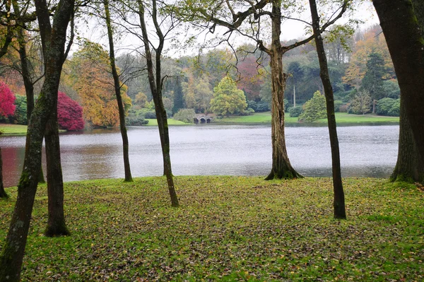 Jezioro przez drzewa — Zdjęcie stockowe