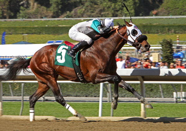 Бороться до конца