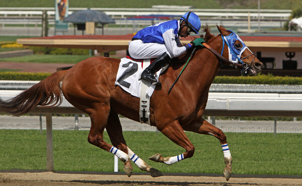 Стремление к финишу
