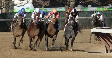 Gemologist Wins The Woodward Memorial clipart