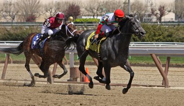 Winning Her First Race clipart