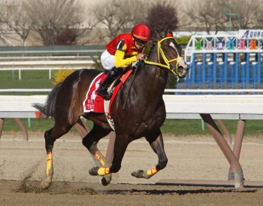 Trinniberg Wins The Bay Shore Stakes clipart
