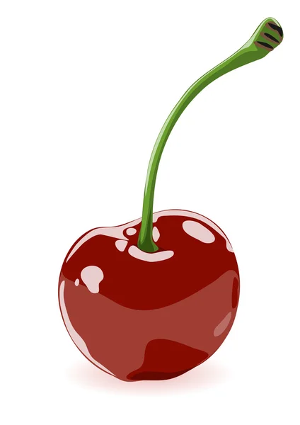 stock vector Vector illustration of a cherry