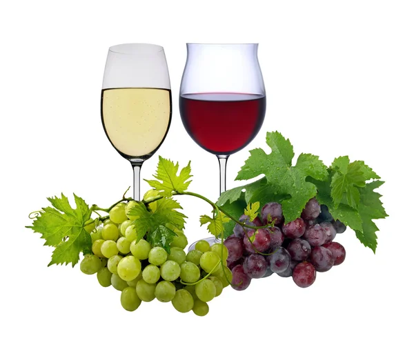 Licores de vino — Foto de Stock