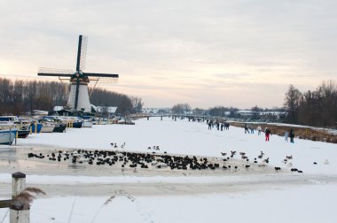 Skate-eğlence alblasserwaard Hollanda'da