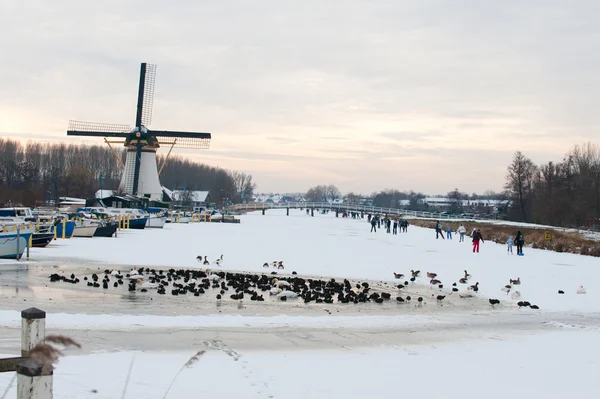 Skate-plezier in de alblasserwaard holland — Stockfoto