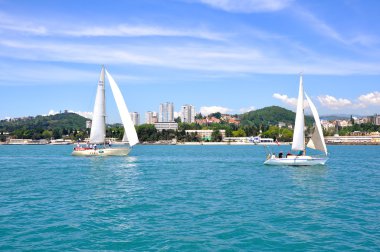 Sochi sea coast with sailing yachts clipart