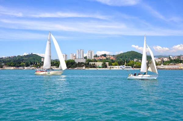 stock image Sochi sea coast with sailing yachts