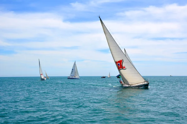 帆船比赛 — 图库照片
