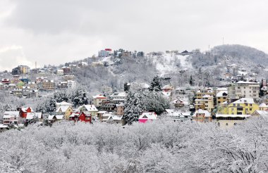 donmuş Soçi, kış manzarası