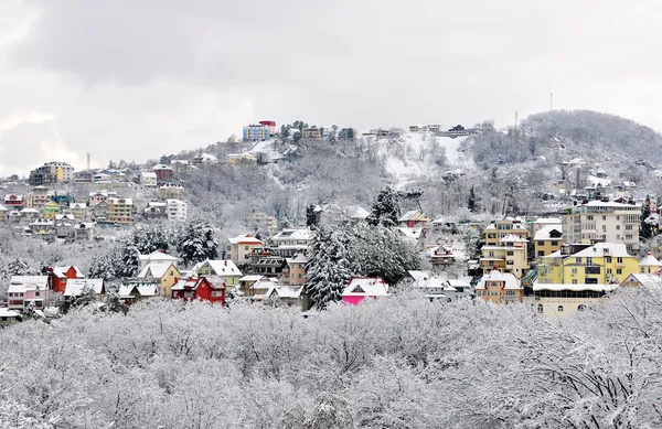 Stock image Frozen Sochi, winter landscape