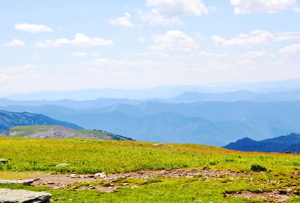 Summer mountain landscape — Stock Photo, Image