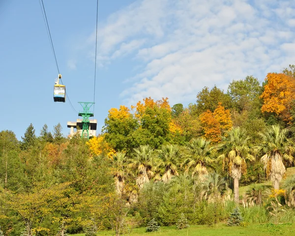 Podzimní park — Stock fotografie