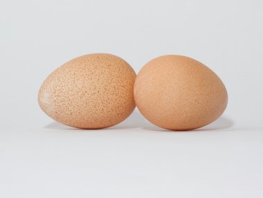 Eggs of a guinea fowl clipart