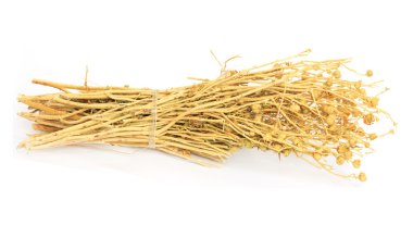 Adraspan - dried grass of Central Asia clipart