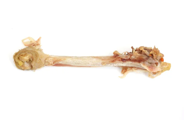 Bone of the chicken — Stock Photo, Image