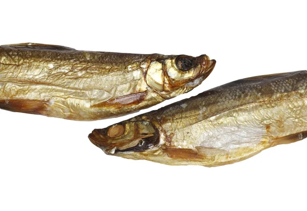 Two smoked whitefish — Stock Photo, Image