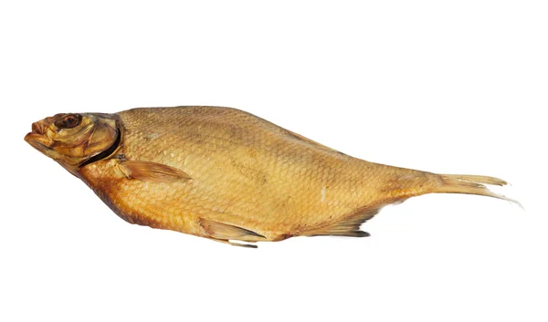 白い背景に鯛をスモーク — ストック写真