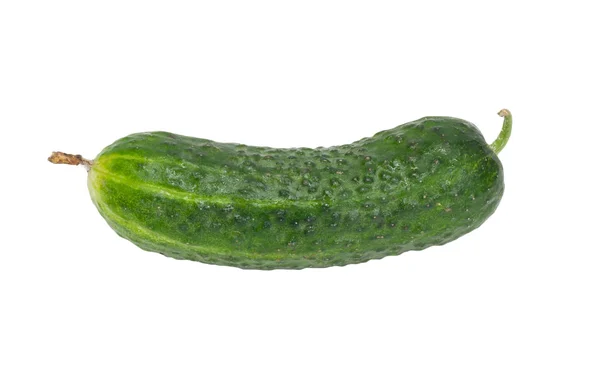 Cucumber isolated on white — Stock Photo, Image