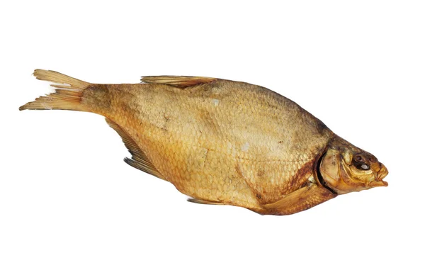 白い背景に鯛をスモーク — ストック写真