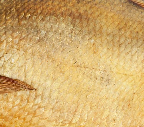 Guld skalor rökt fisk som bakgrund — Stockfoto