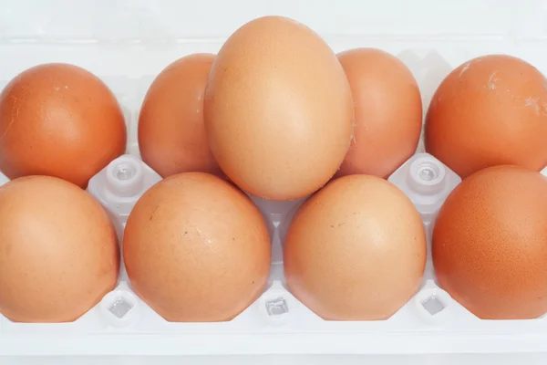 Fresh brown country eggs packaged in a dozen carton — Stock Photo, Image