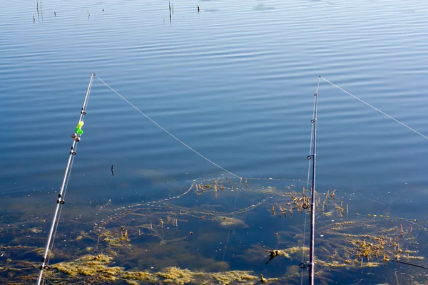 Fishing in a calm swedish lake on a sunny day — Stock Photo, Image