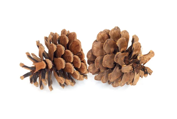 Dois cones de pinheiro isolados em branco com caminho de recorte — Fotografia de Stock