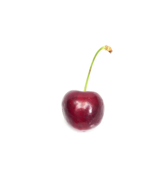 A ripe, juicy cherry — Stok fotoğraf