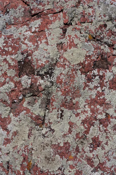 Roter Granitberg als Kulisse — Stockfoto