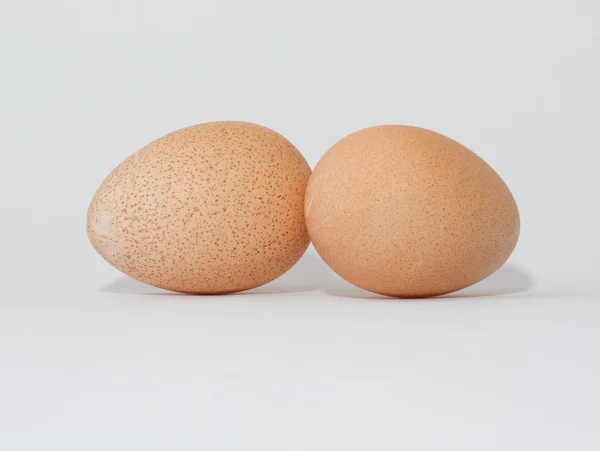 Eier eines Perlhühnchens — Stockfoto