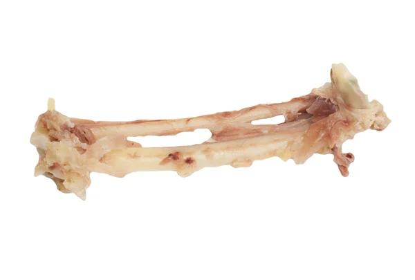 Gepflückter Knochen eines Huhns auf weißem Hintergrund — Stockfoto