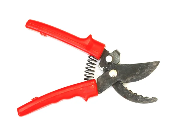 Red garden pruner, isolated on a white background — Stock Photo, Image