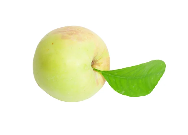 Apfel mit Blatt auf weißem Hintergrund — Stockfoto