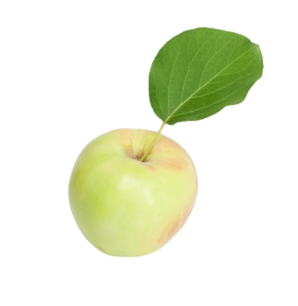 Apple with leaf on white background — Stock Photo, Image