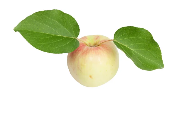 Apfel mit Blatt auf weißem Hintergrund — Stockfoto